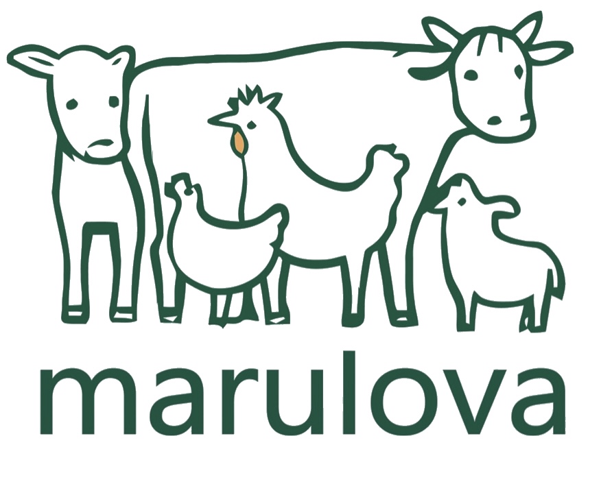 Marulova Logo